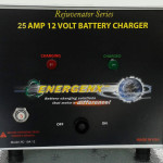Tesla Chargers 25A12 Battery Charger Rejuvenator